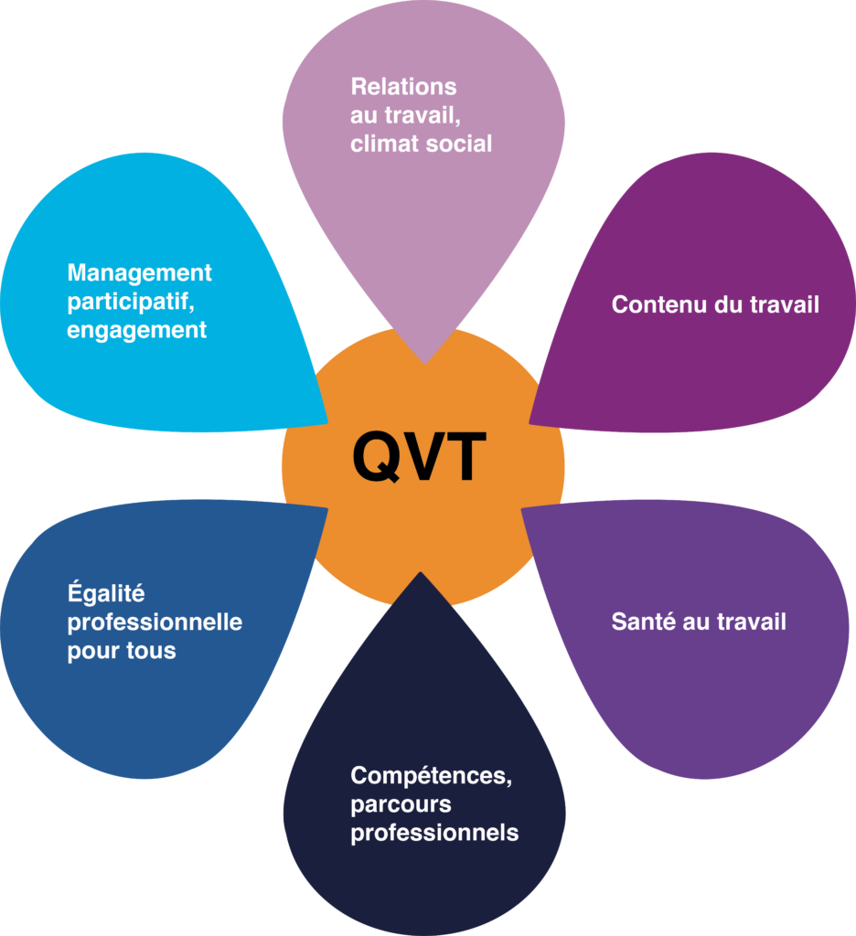 qvt